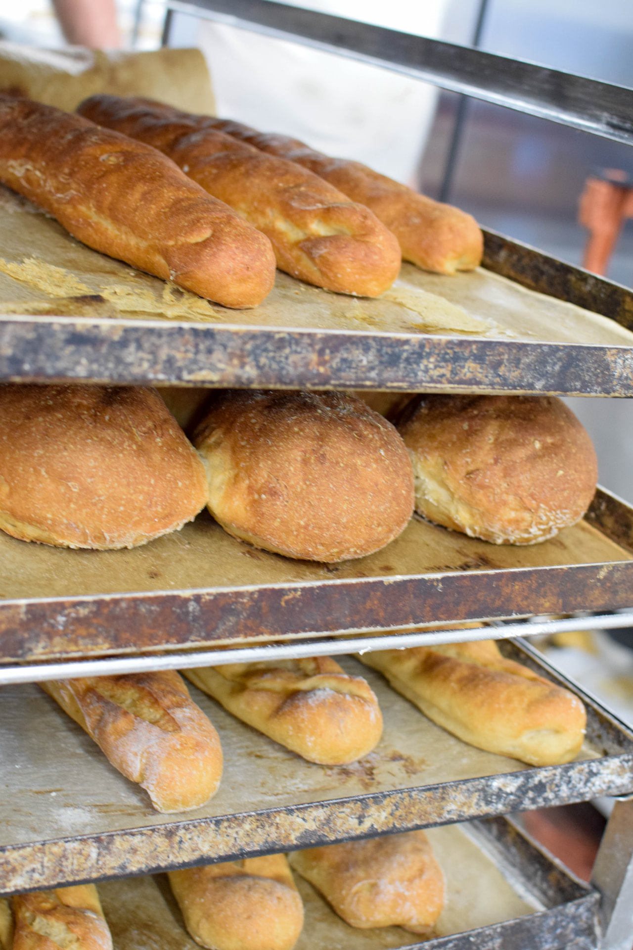 Trays of gluten free baguettes and rolls fresh from the oven