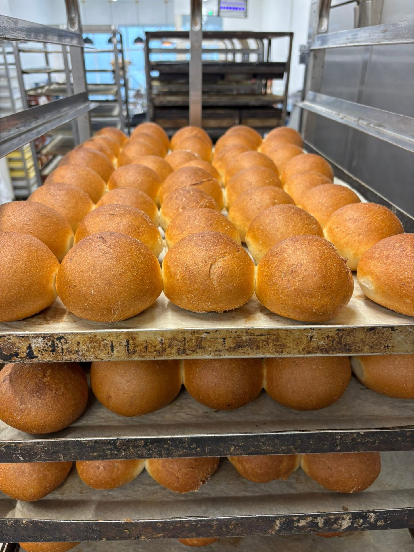 Trays of golden gluten free bread rolls on bakery racks